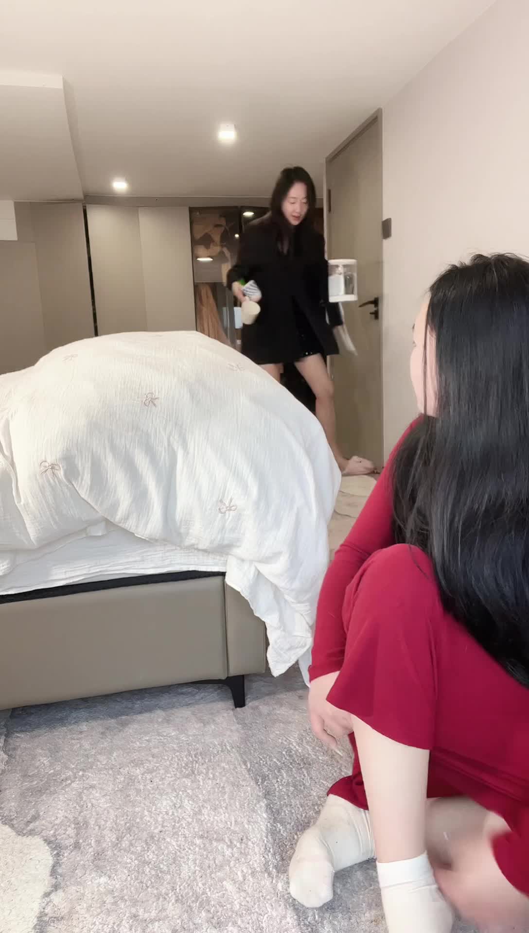 龙春燕子_2025-02-07_10-49-20_294