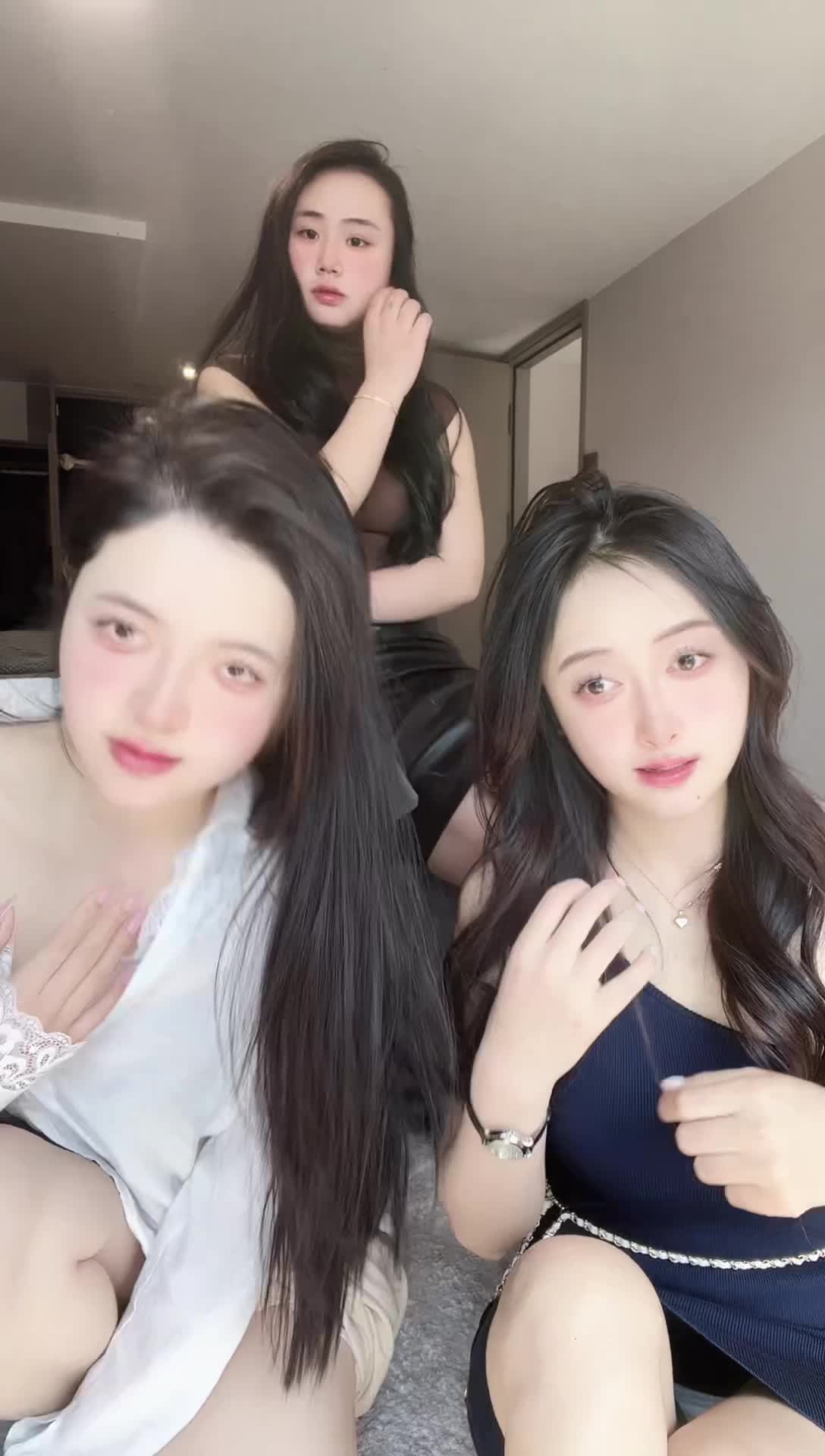 龙春燕子_2025-03-03_13-04-16_209