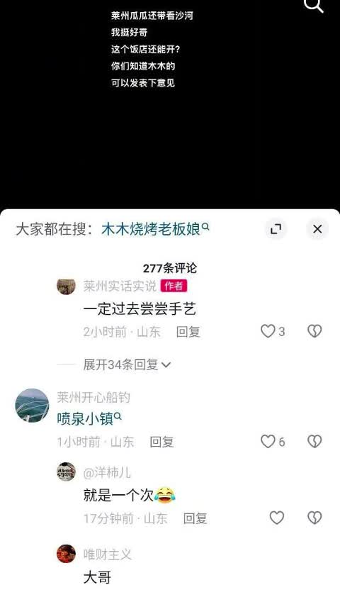 网红王木木
